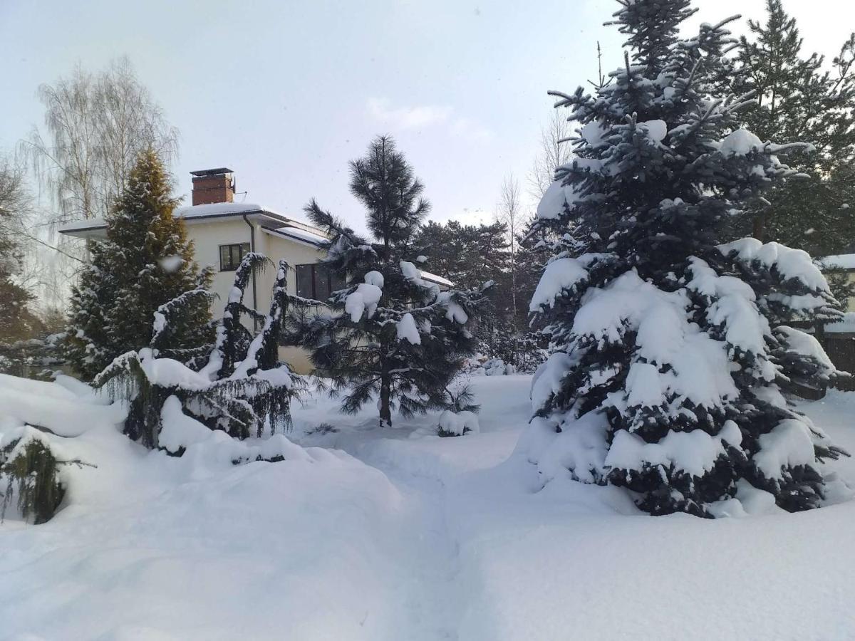 Guest House Pechersky & Sons Dreilini  Kültér fotó